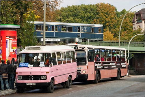 Bergziege und S-Bahn